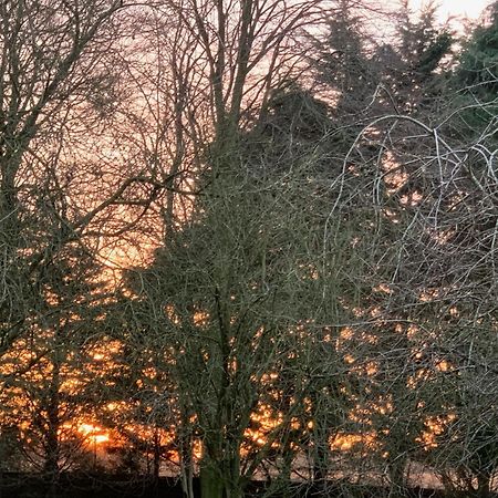 Aldercarr Hall Great Ellingham Bagian luar foto